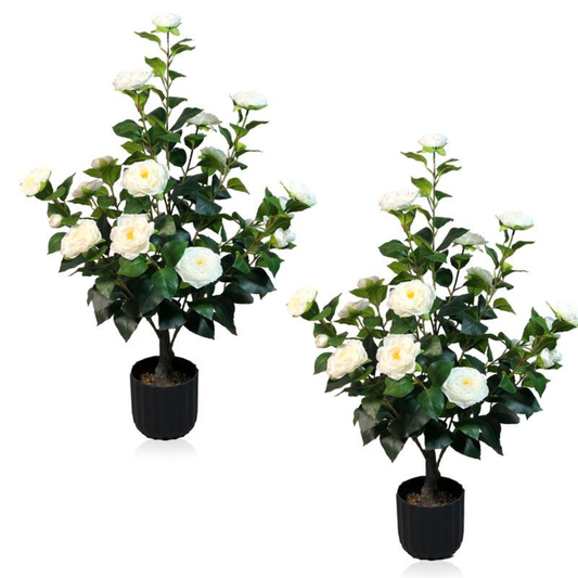 2 Pcs 3-foot Camellia Tree with Decorative Pebbles