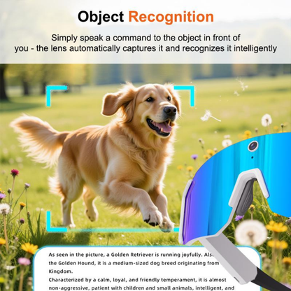 AeroVision AI