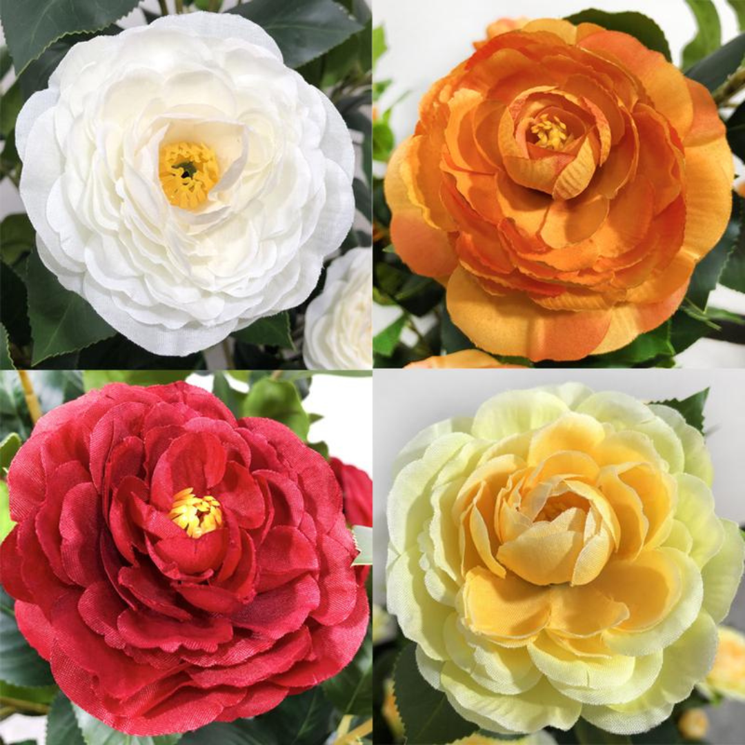 2 Pcs 3-foot Camellia Tree with Decorative Pebbles