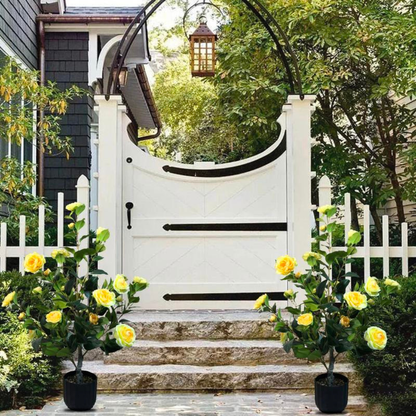 2 Pcs 3-foot Camellia Tree with Decorative Pebbles