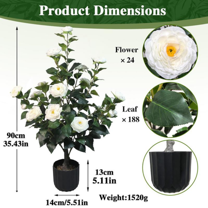 2 Pcs 3-foot Camellia Tree with Decorative Pebbles
