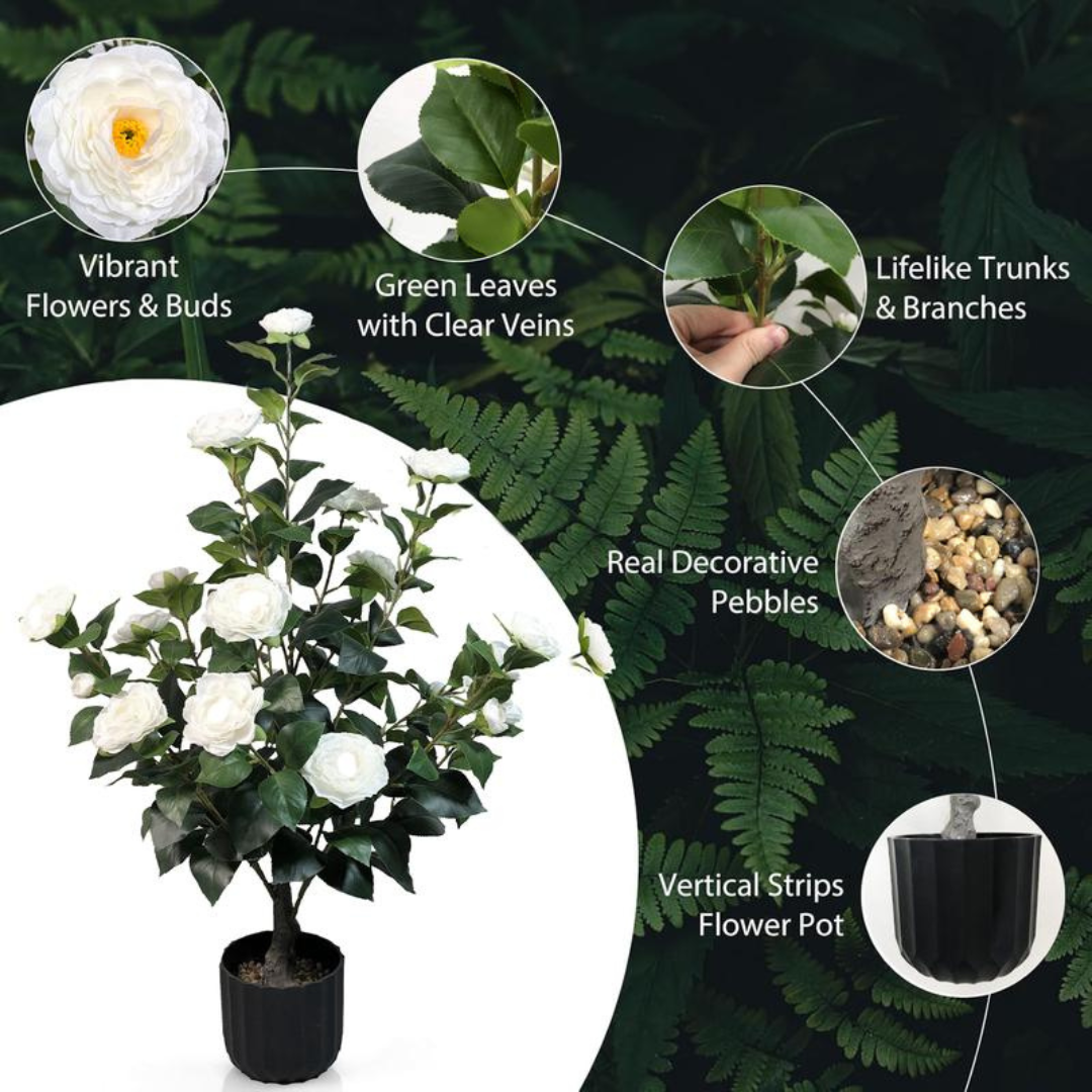 2 Pcs 3-foot Camellia Tree with Decorative Pebbles