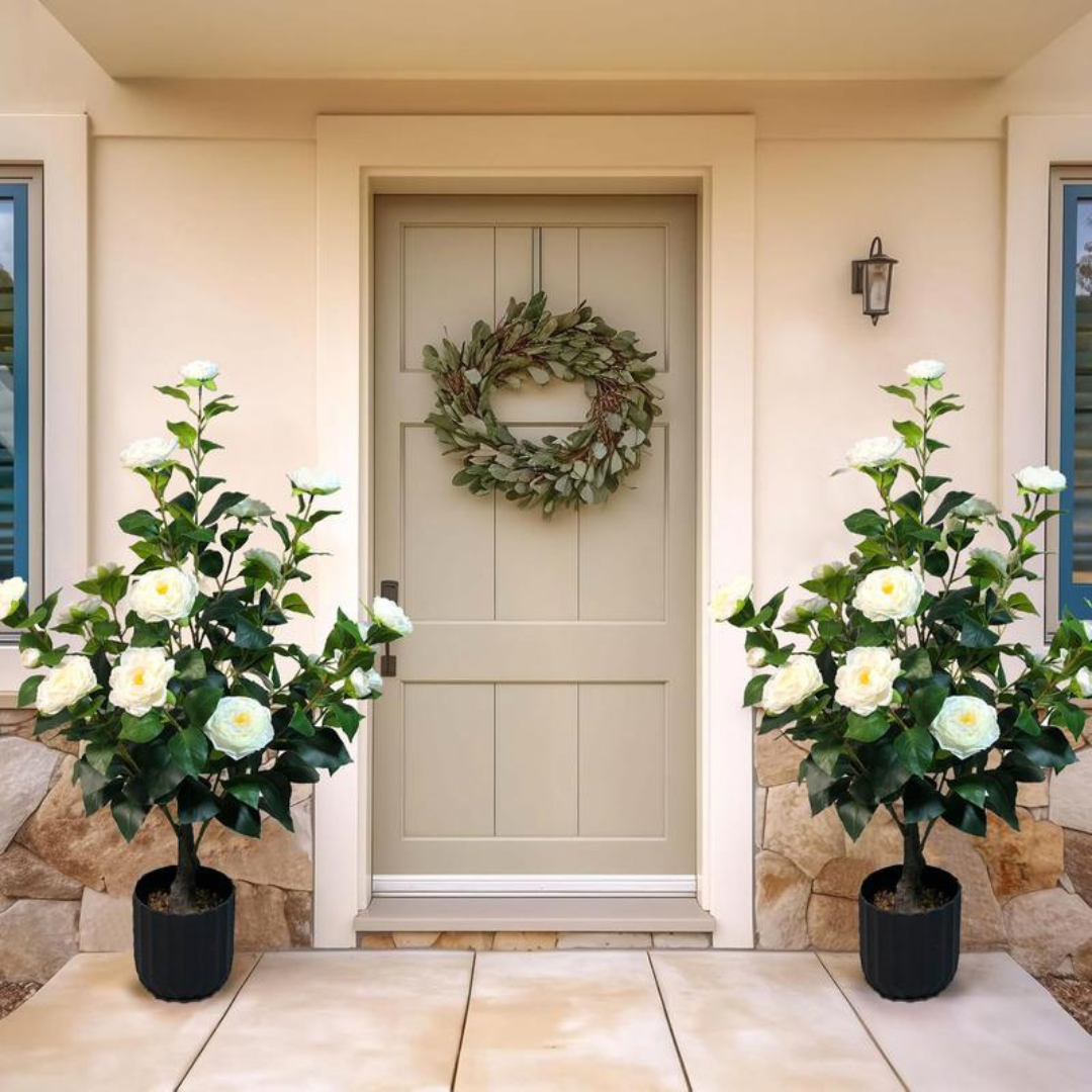 2 Pcs 3-foot Camellia Tree with Decorative Pebbles